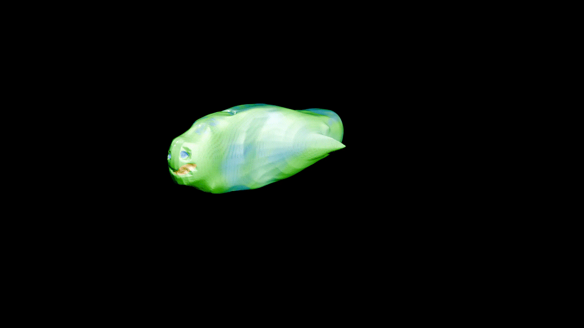 Rotating Fish